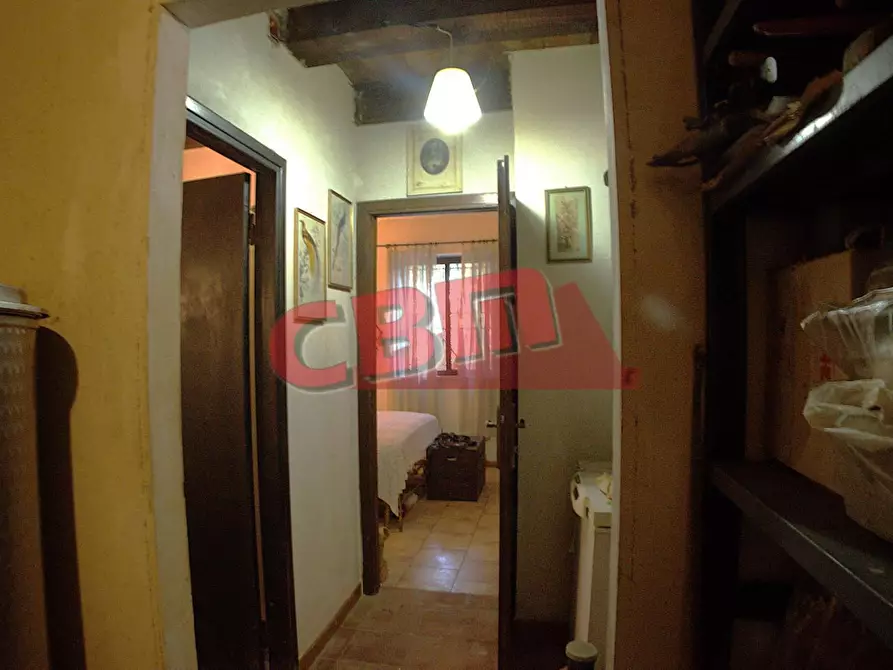 Immagine 31 di Terratetto in vendita  a Fauglia