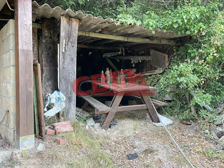 Immagine 49 di Terratetto in vendita  a Fauglia