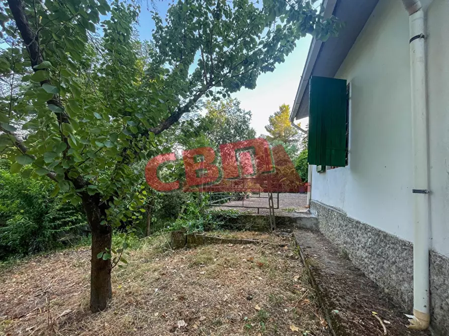 Immagine 43 di Terratetto in vendita  a Fauglia