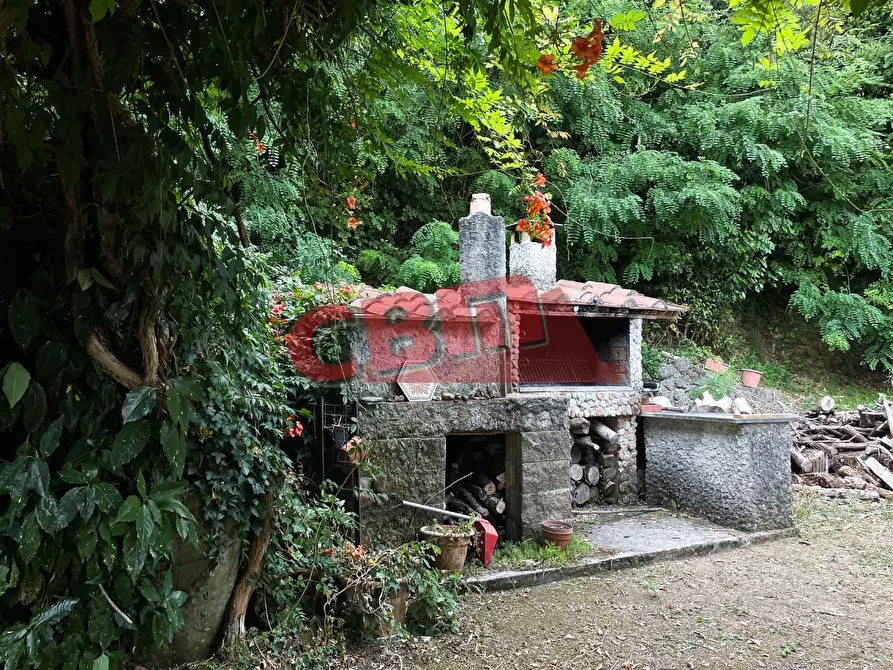 Immagine 4 di Terratetto in vendita  a Fauglia