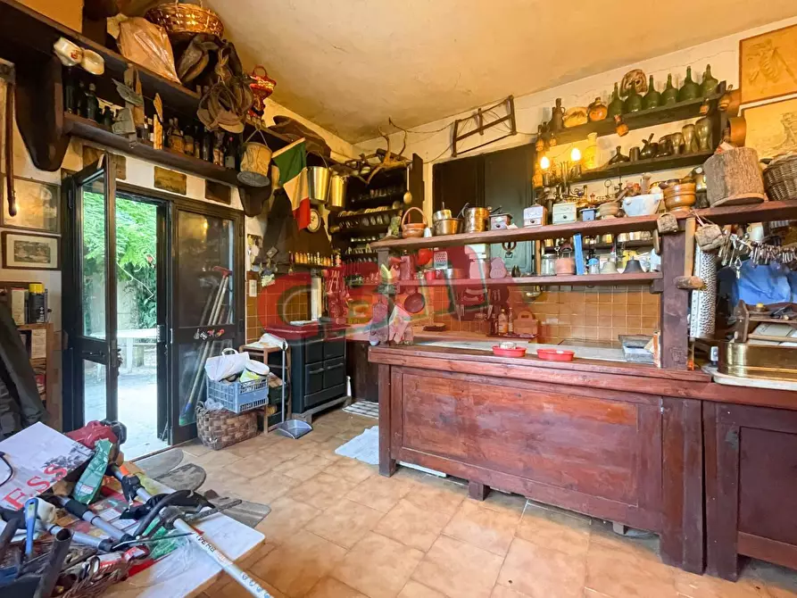 Immagine 18 di Terratetto in vendita  a Fauglia