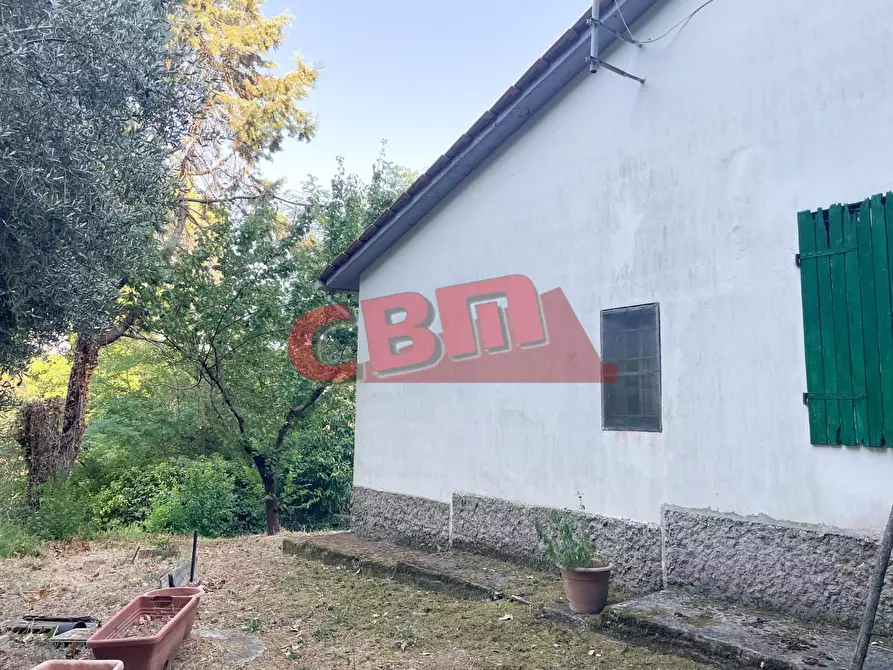 Immagine 7 di Terratetto in vendita  a Fauglia