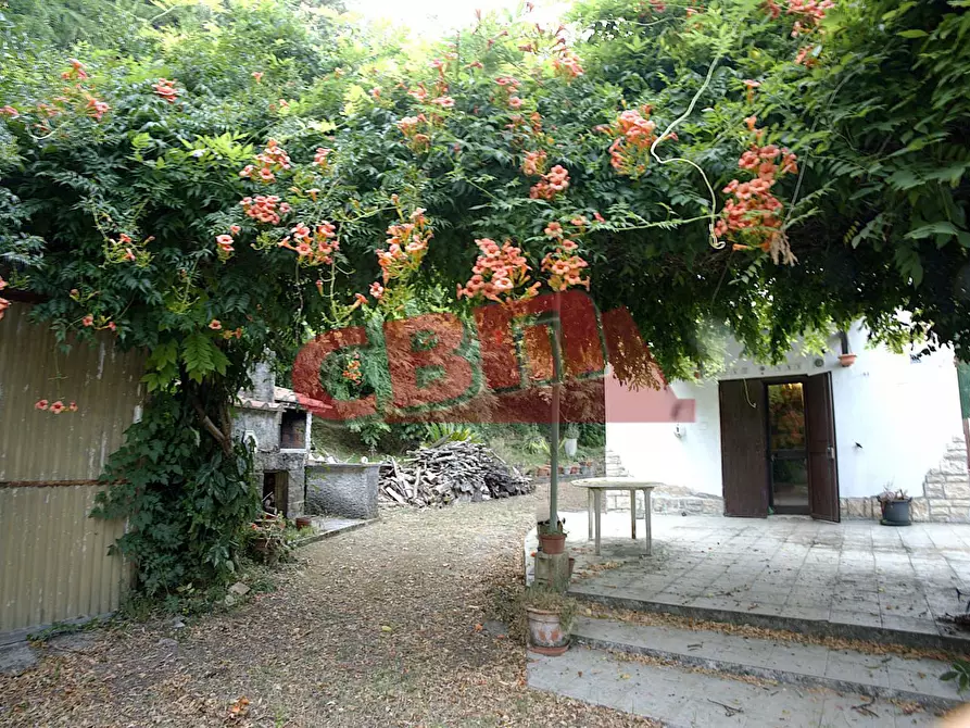 casa indipendente in vendita a Fauglia