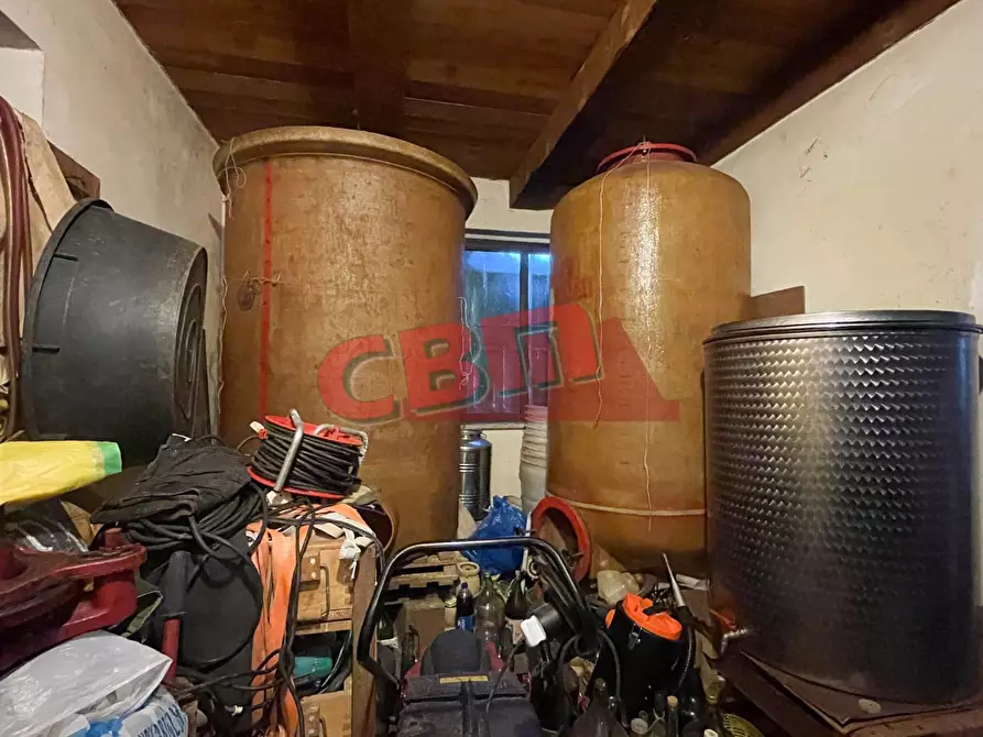 Immagine 27 di Terratetto in vendita  a Fauglia