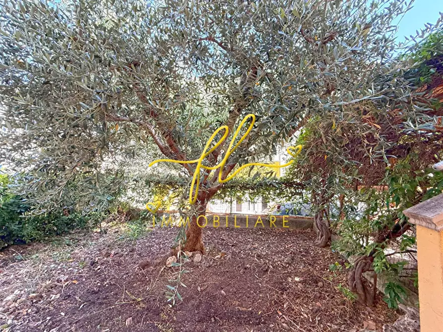 Immagine 19 di Appartamento in vendita  a Cecina