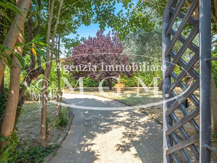 Immagine 7 di Casa indipendente in vendita  a Calcinaia