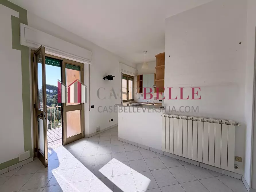 Immagine 11 di Appartamento in vendita  a Massarosa