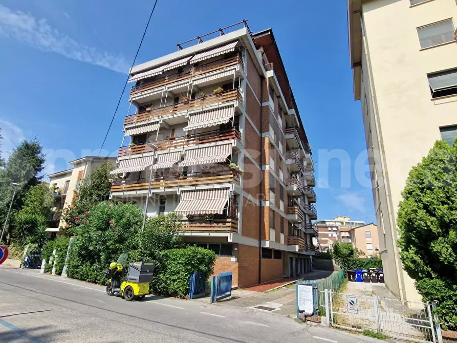 Immagine 18 di Appartamento in affitto  a Pisa
