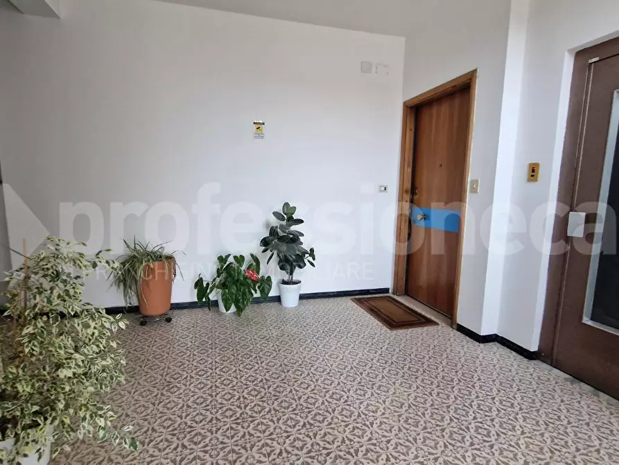 Immagine 16 di Appartamento in affitto  a Pisa