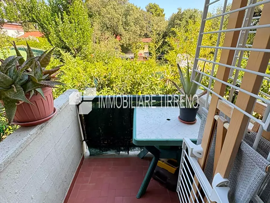 Immagine 18 di Appartamento in vendita  a Massa