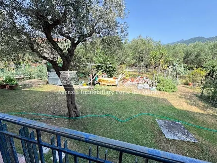 Immagine 45 di Casa indipendente in vendita  a Seravezza