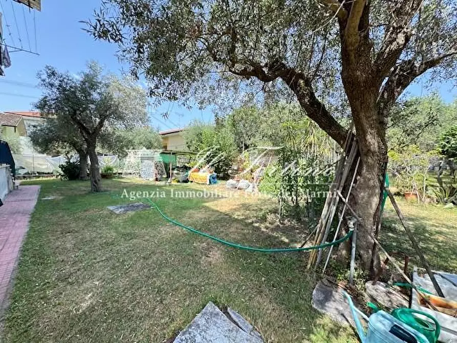 Immagine 46 di Casa indipendente in vendita  a Seravezza