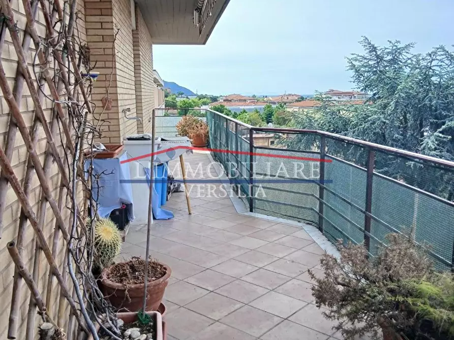Immagine 10 di Appartamento in vendita  a Massa