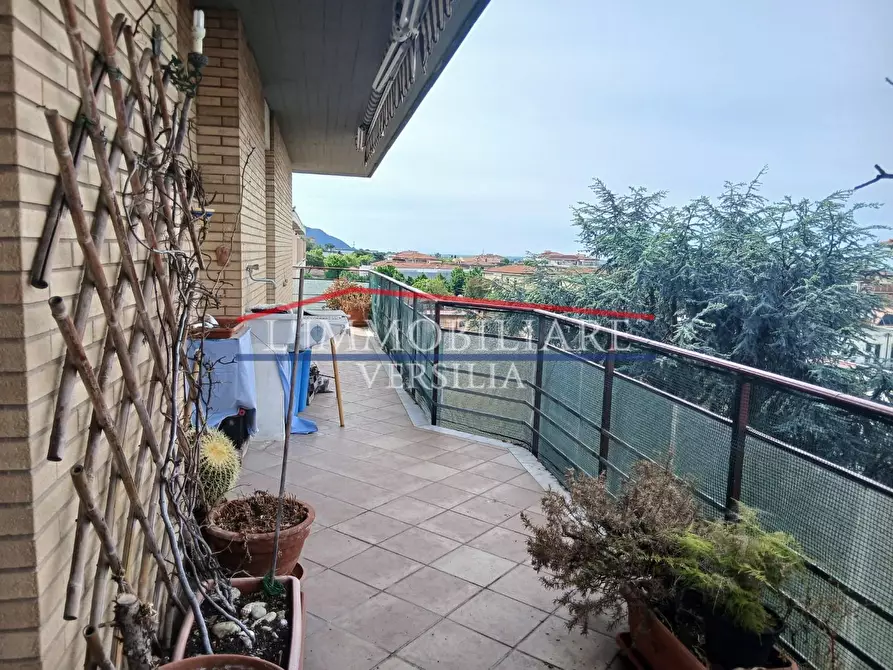 Immagine 9 di Appartamento in vendita  a Massa