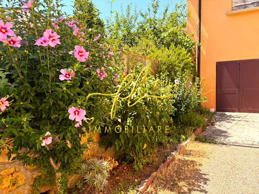 Immagine 24 di Appartamento in vendita  a Pomarance