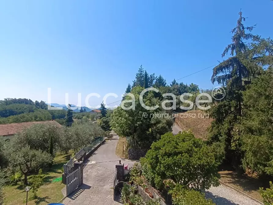 Immagine 47 di Rustico / casale in vendita  a Pescaglia