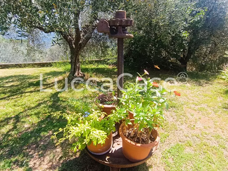 Immagine 10 di Rustico / casale in vendita  a Pescaglia
