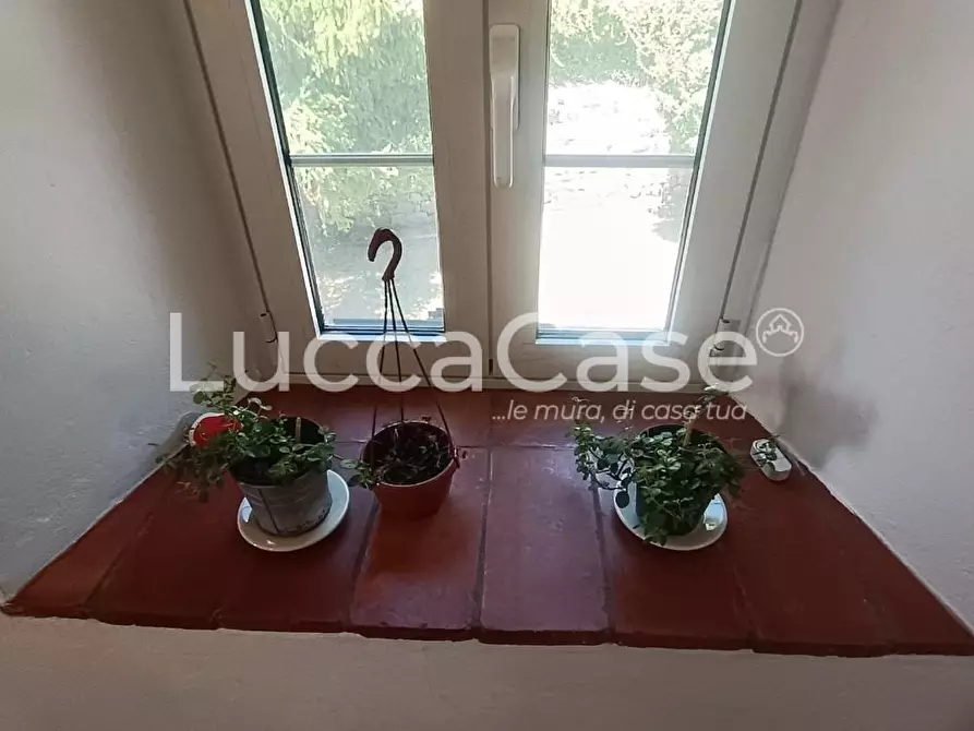 Immagine 42 di Rustico / casale in vendita  a Pescaglia