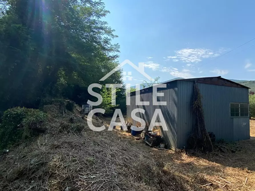 Immagine 14 di Terreno agricolo in vendita  a Buti