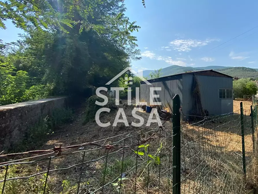 Immagine 10 di Terreno agricolo in vendita  a Buti