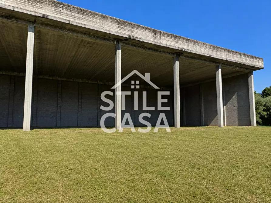 Immagine 3 di Attività artigianale in vendita  a Capannori