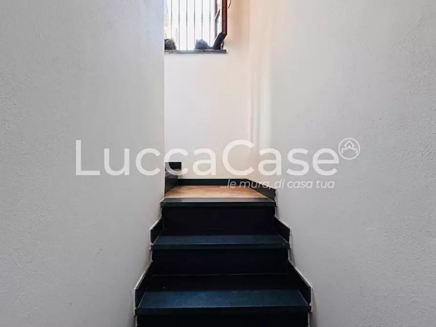 Immagine 4 di Casa colonica in vendita  a Lucca