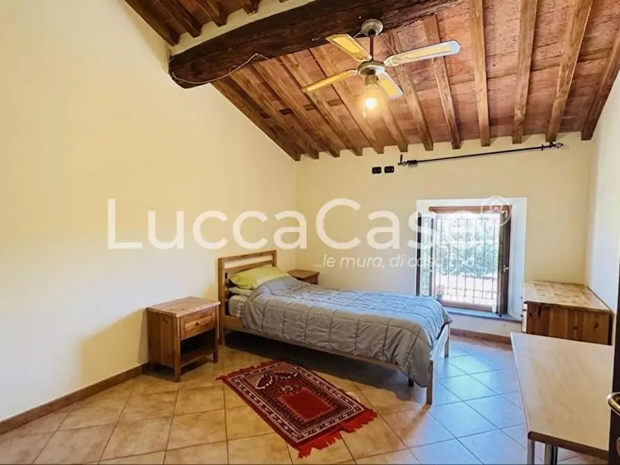 Immagine 12 di Casa colonica in vendita  a Lucca