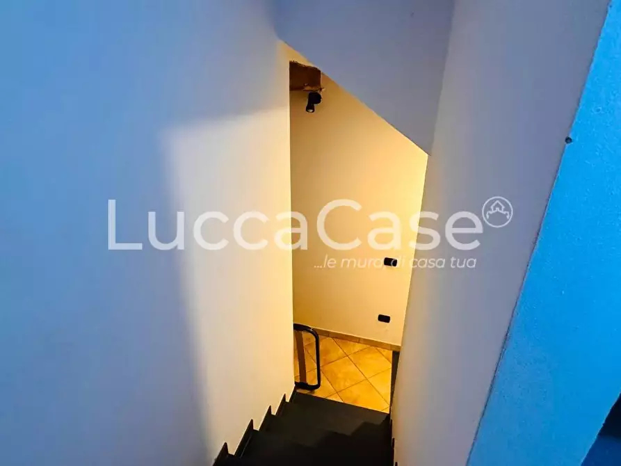 Immagine 9 di Casa colonica in vendita  a Lucca