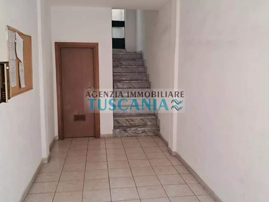 Immagine 15 di Appartamento in vendita  a Cecina