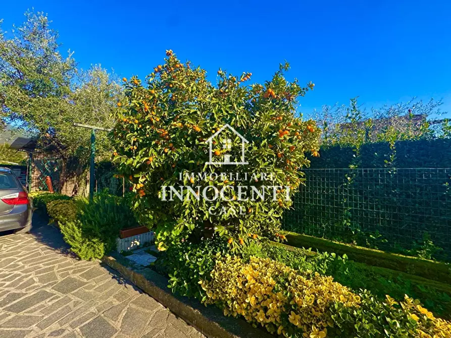 Immagine 5 di Casa bifamiliare in vendita  a Massa
