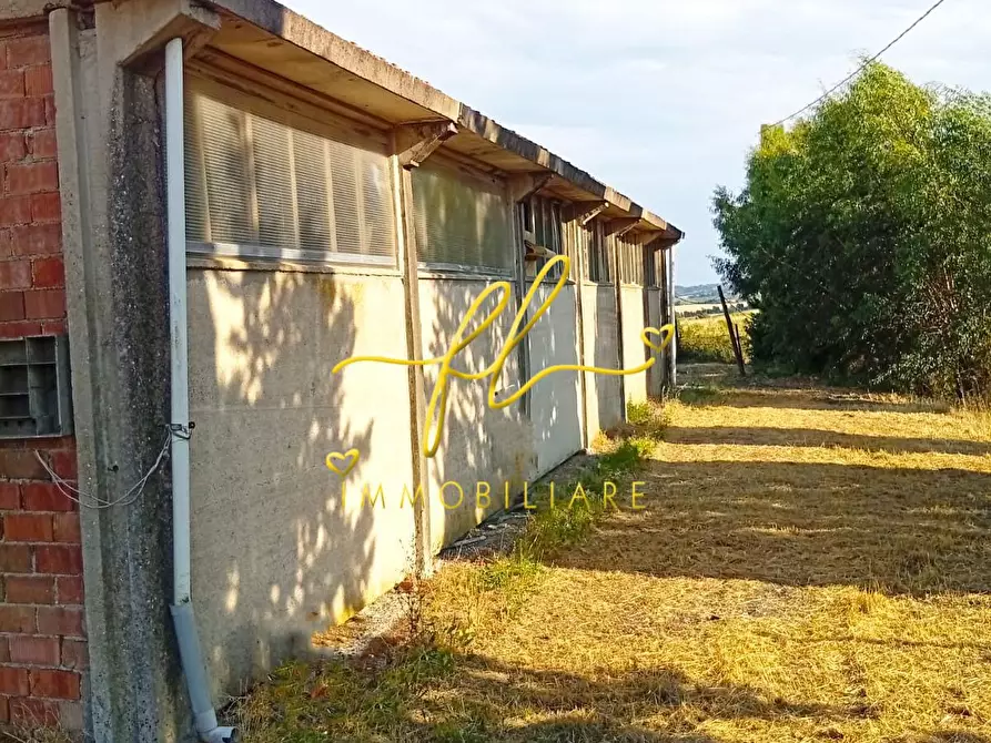 Immagine 11 di Terreno agricolo in vendita  a Rosignano Marittimo