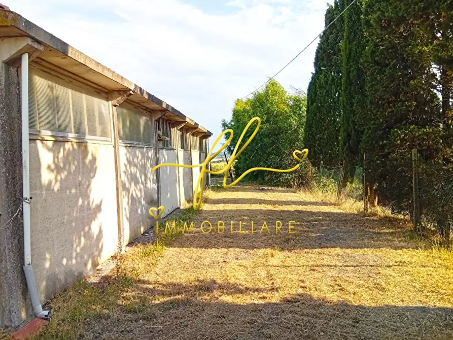Immagine 3 di Terreno agricolo in vendita  a Rosignano Marittimo
