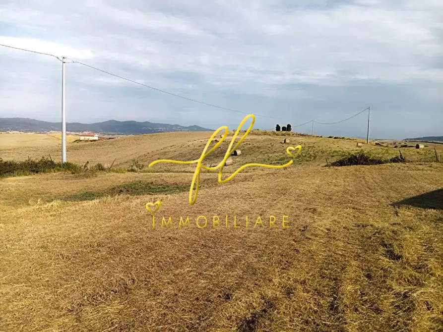 Immagine 7 di Terreno agricolo in vendita  a Rosignano Marittimo