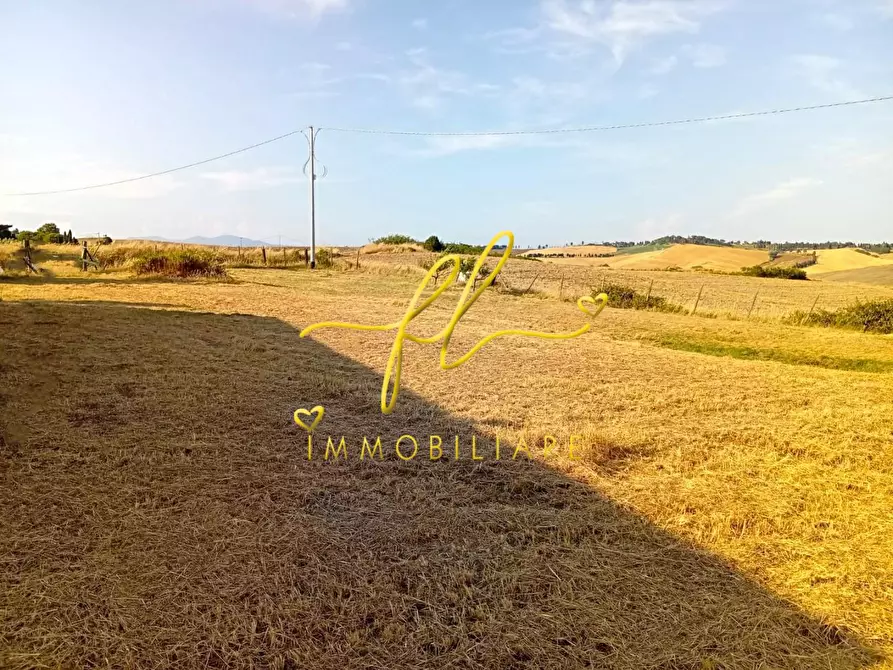 Immagine 10 di Terreno agricolo in vendita  a Rosignano Marittimo