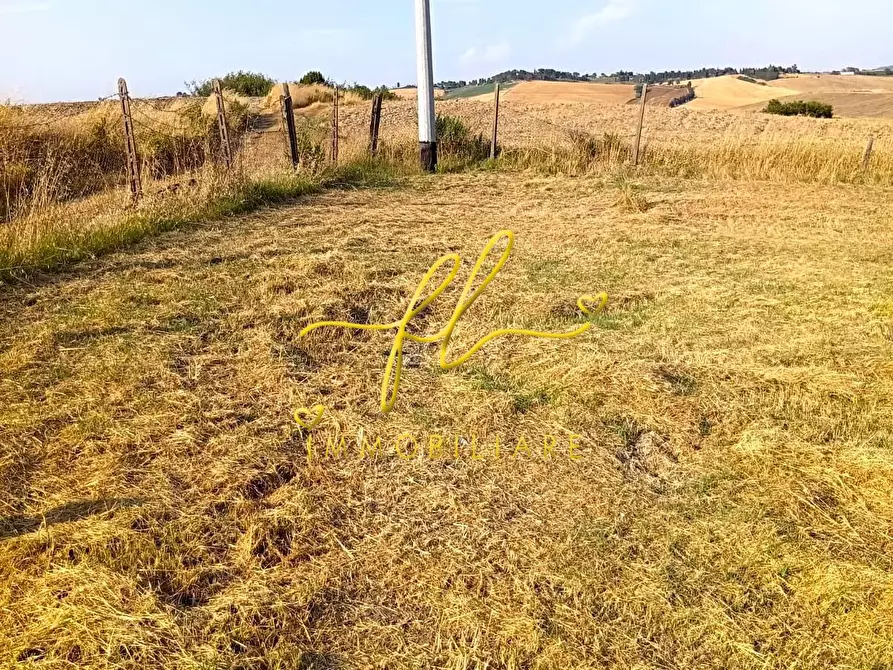 Immagine 12 di Terreno agricolo in vendita  a Rosignano Marittimo