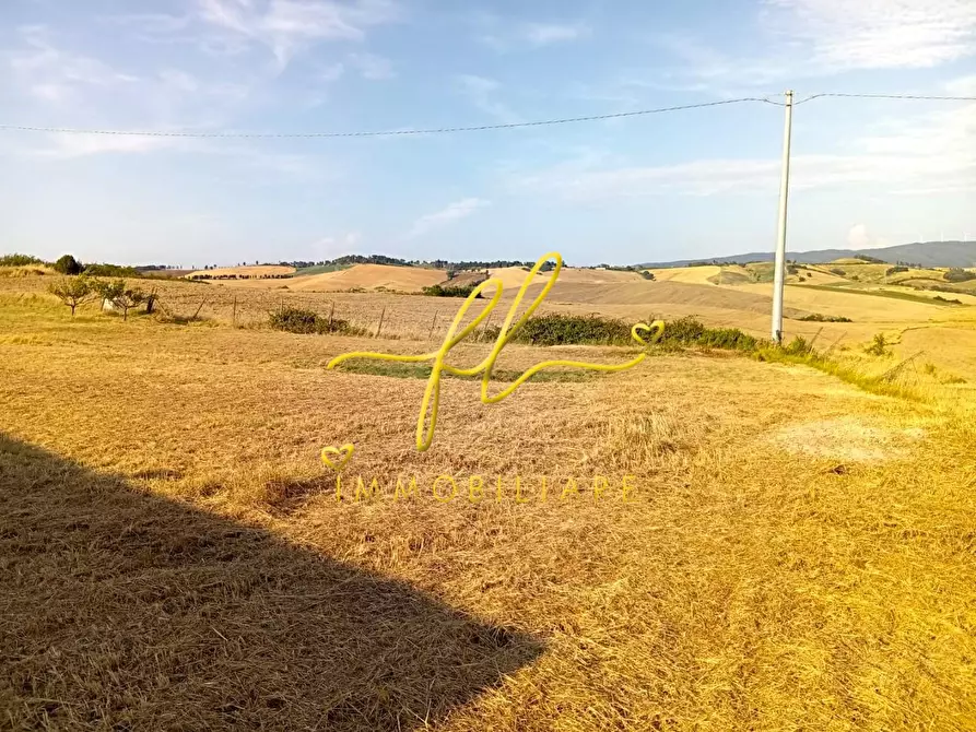 Immagine 8 di Terreno agricolo in vendita  a Rosignano Marittimo
