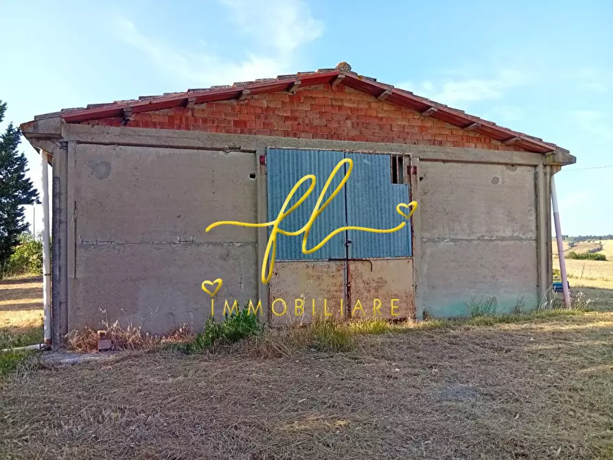 Immagine 13 di Terreno agricolo in vendita  a Rosignano Marittimo