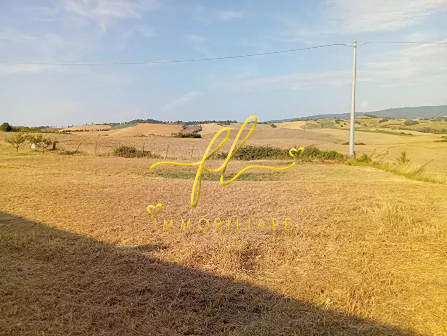 Immagine 5 di Terreno agricolo in vendita  a Rosignano Marittimo
