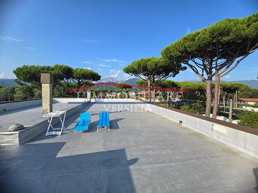 Immagine 1 di Appartamento in vendita  a Massa