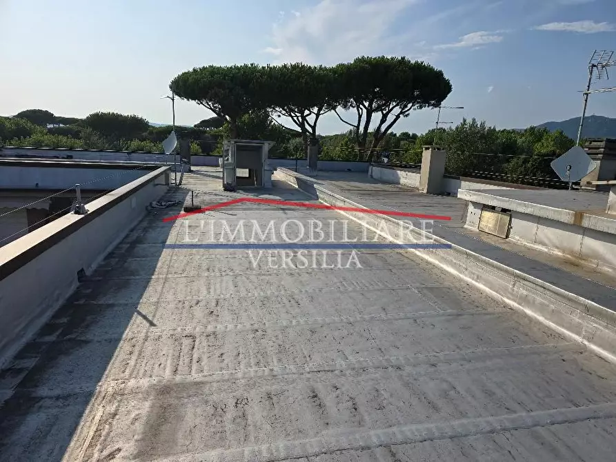 Immagine 15 di Appartamento in vendita  a Massa