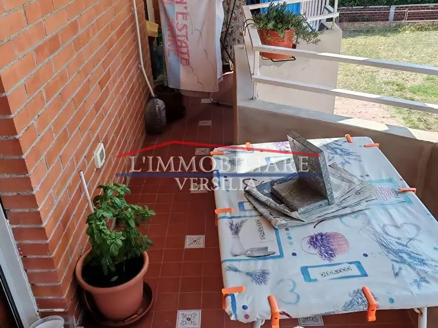 Immagine 6 di Appartamento in vendita  a Massa