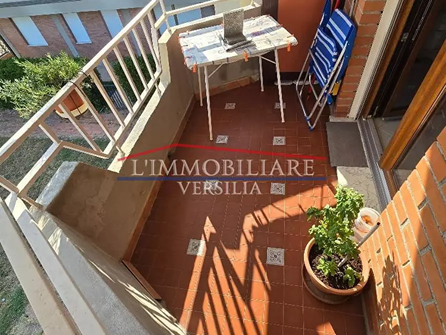 Immagine 2 di Appartamento in vendita  a Massa