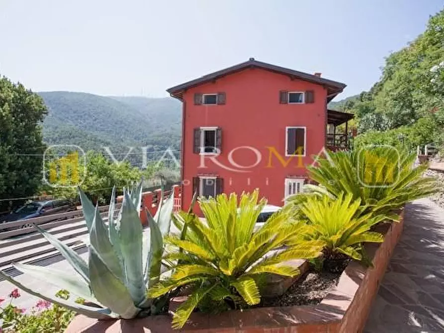 Immagine 24 di Rustico / casale in vendita  a Capannori