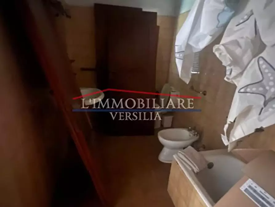 Immagine 49 di Villa in vendita  a Massa