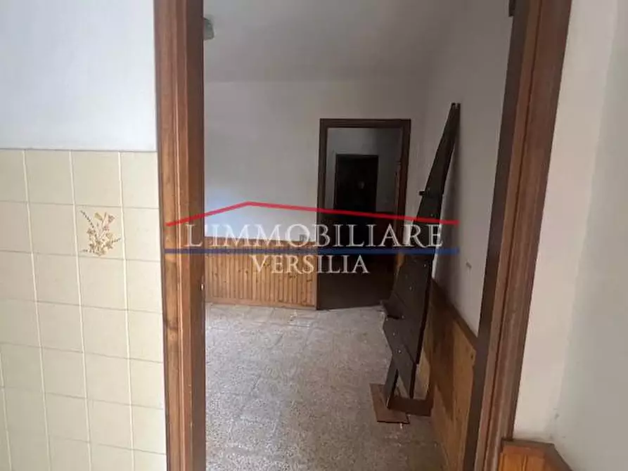 Immagine 45 di Villa in vendita  a Massa