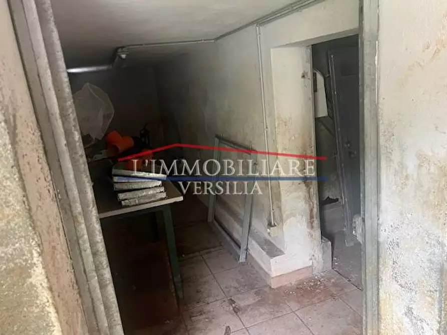Immagine 7 di Villa in vendita  a Massa