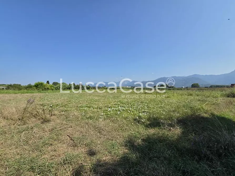Immagine 13 di Casa colonica in vendita  a Pietrasanta