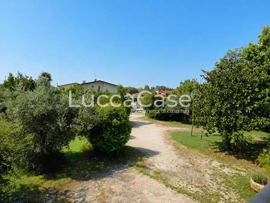 Immagine 2 di Casa colonica in vendita  a Pietrasanta