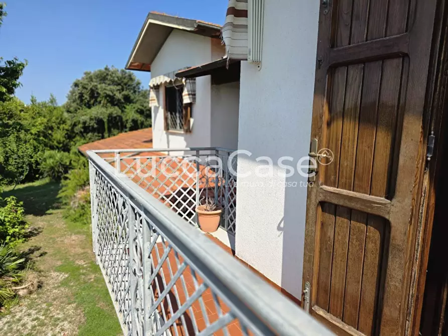 Immagine 6 di Casa colonica in vendita  a Pietrasanta