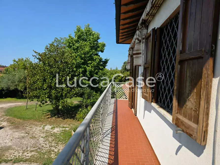 Immagine 5 di Casa colonica in vendita  a Pietrasanta